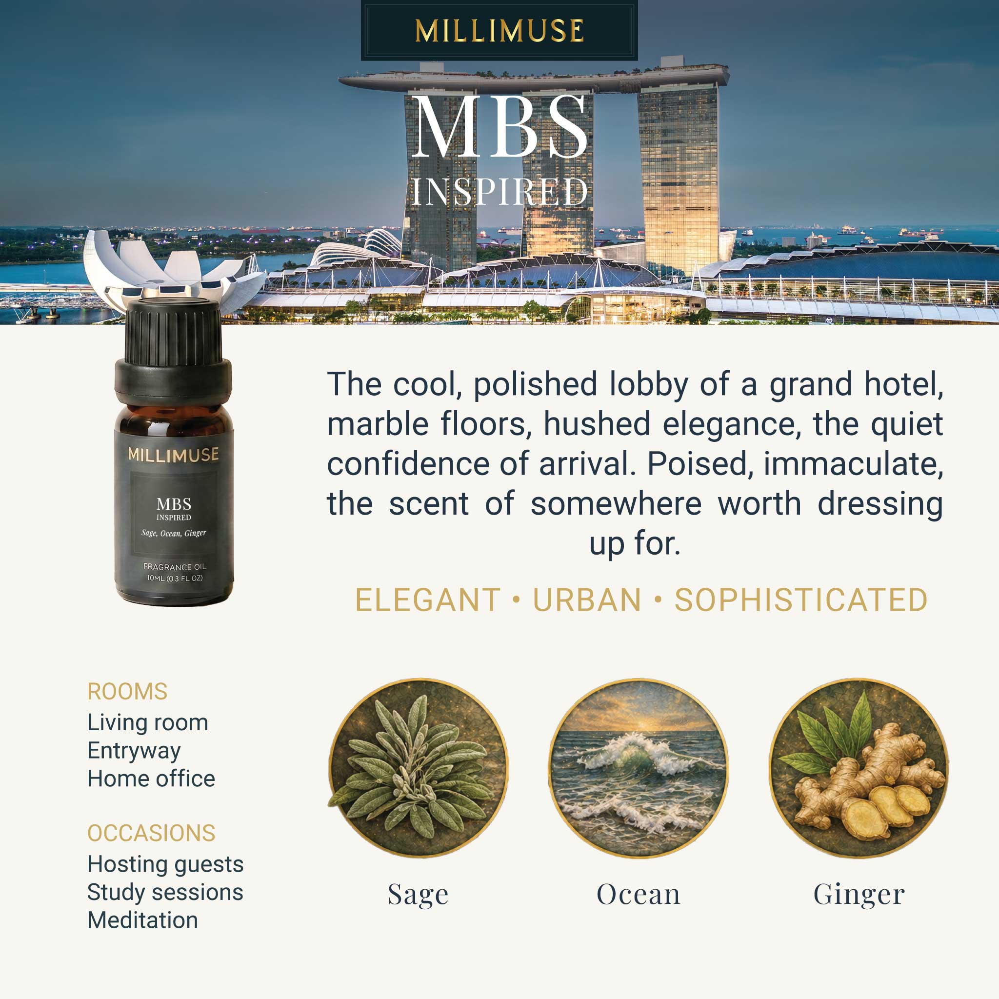 MBS Inspired Fragrance Oil
